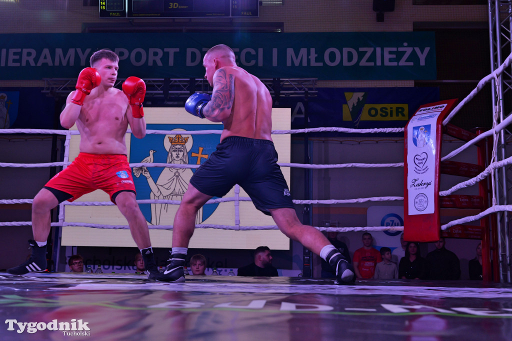 Afpro Tucholska Gala Boksu - Walczymy, aby pomagać