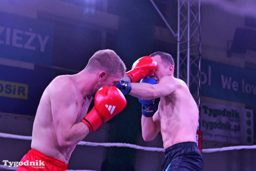 Afpro Tucholska Gala Boksu - Walczymy, aby pomagać