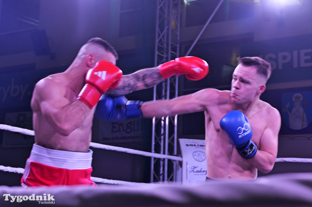 Afpro Tucholska Gala Boksu - Walczymy, aby pomagać