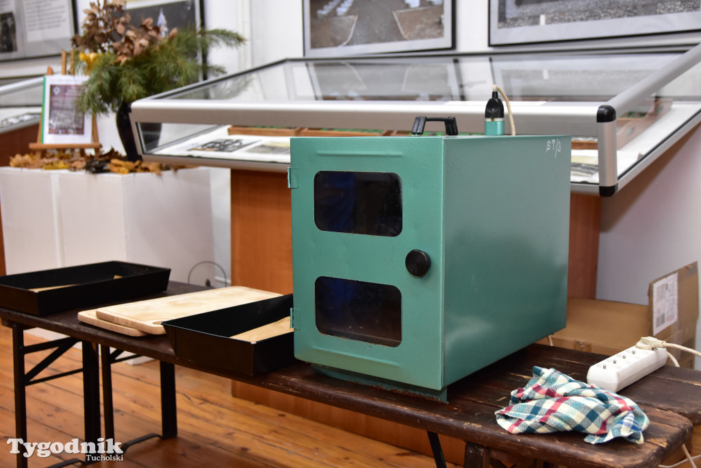 Piernikowe szaleństwo w Muzeum Borów Tucholskich w wykonaniu dzieci z tucholskiej \