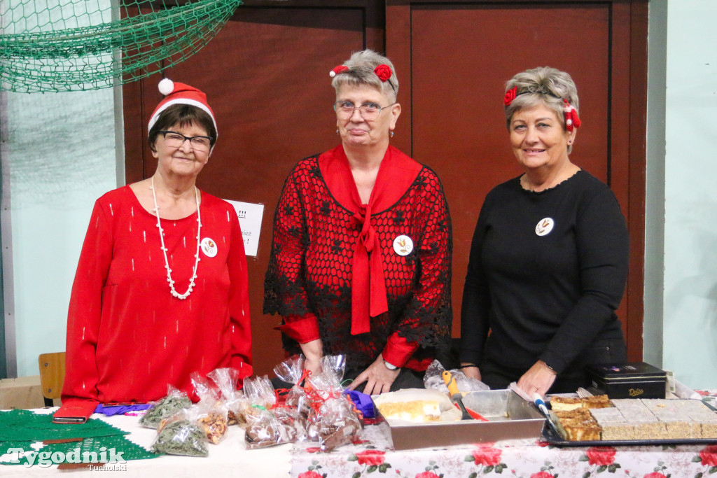 Jarmark Bożonarodzeniowy w Gostycynie: ścigano Grincha, goniono za Mikołajem