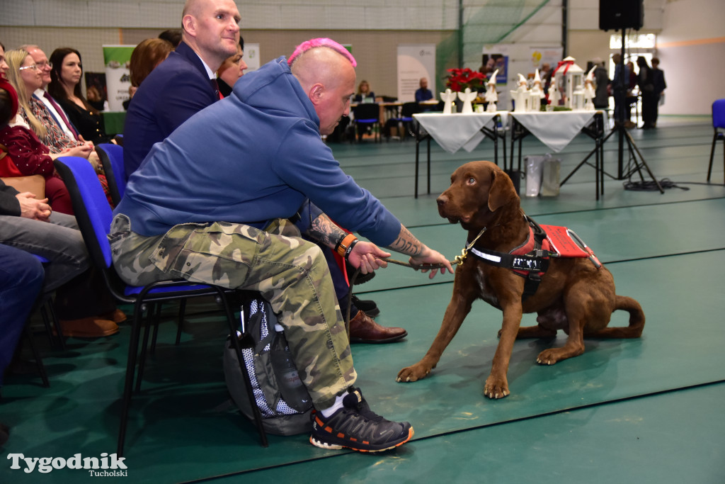 Obchody Międzynarodowego Dnia Osób z Niepełnosprawnościami połączony z warsztatami / ZDJĘCIA CZ. 1