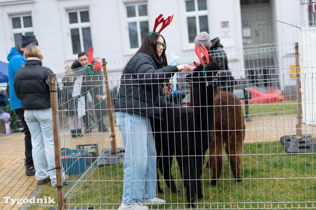 Borowiacki Jarmark na rynku: GALERIA NR 1