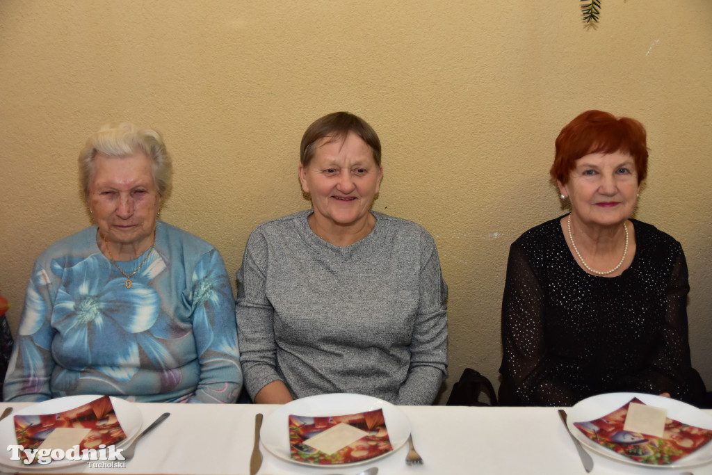 Spotkanie wigilijne osób starszych i działających na ich rzecz w Wielkim Mędromierzu