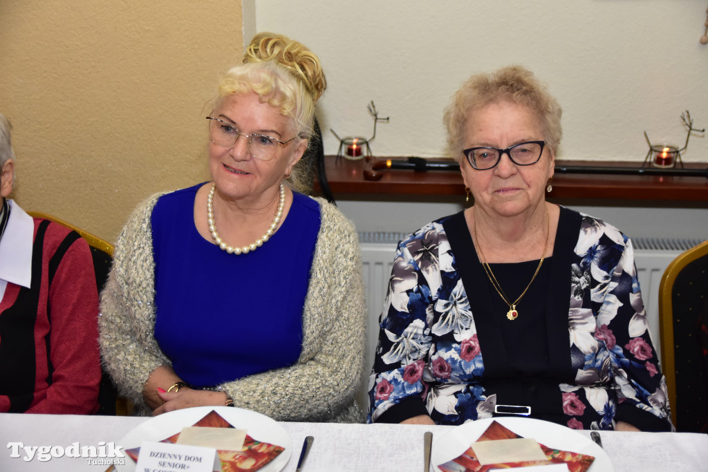 Spotkanie wigilijne osób starszych i działających na ich rzecz w Wielkim Mędromierzu