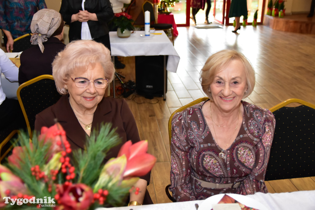 Spotkanie wigilijne osób starszych i działających na ich rzecz w Wielkim Mędromierzu