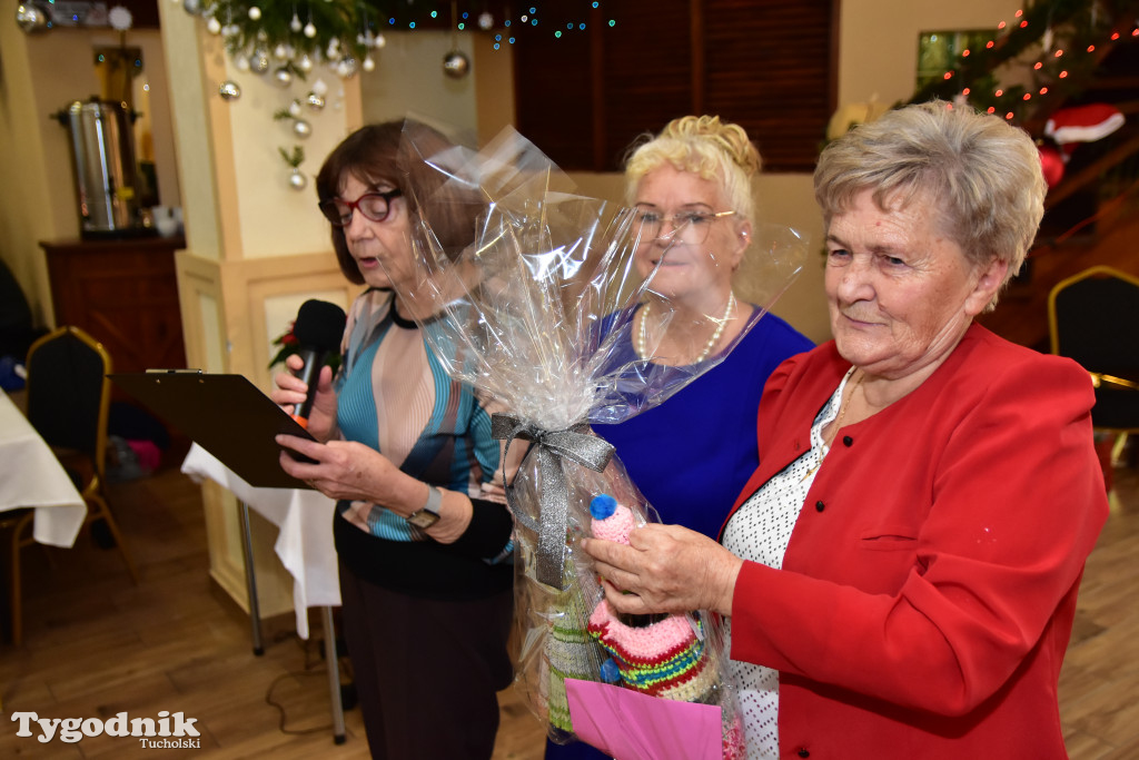 Spotkanie wigilijne osób starszych i działających na ich rzecz w Wielkim Mędromierzu