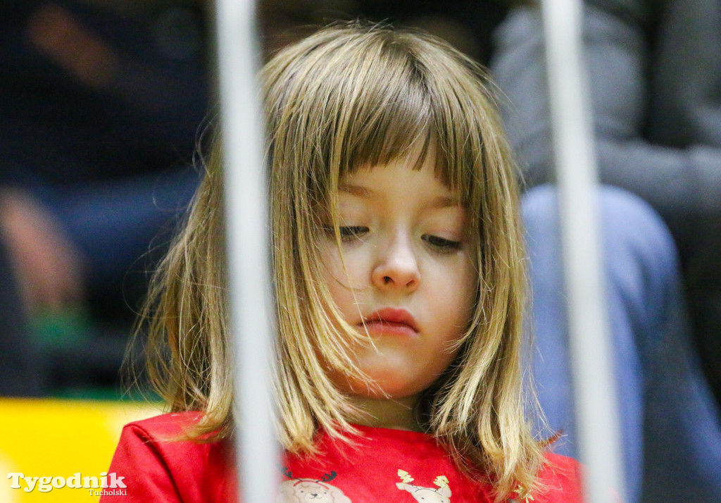 Tucholska Liga Siatkówki: Tucholanka mistrzem pierwszej edycji