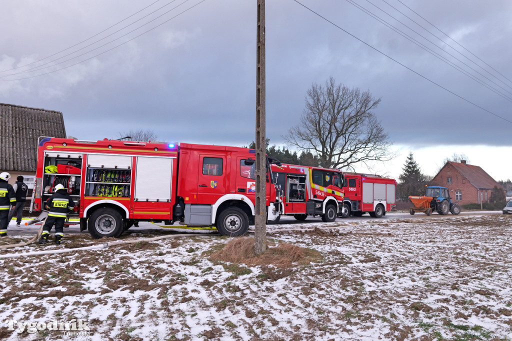 Pożar domu we wsi Lubiewice - 3 stycznia