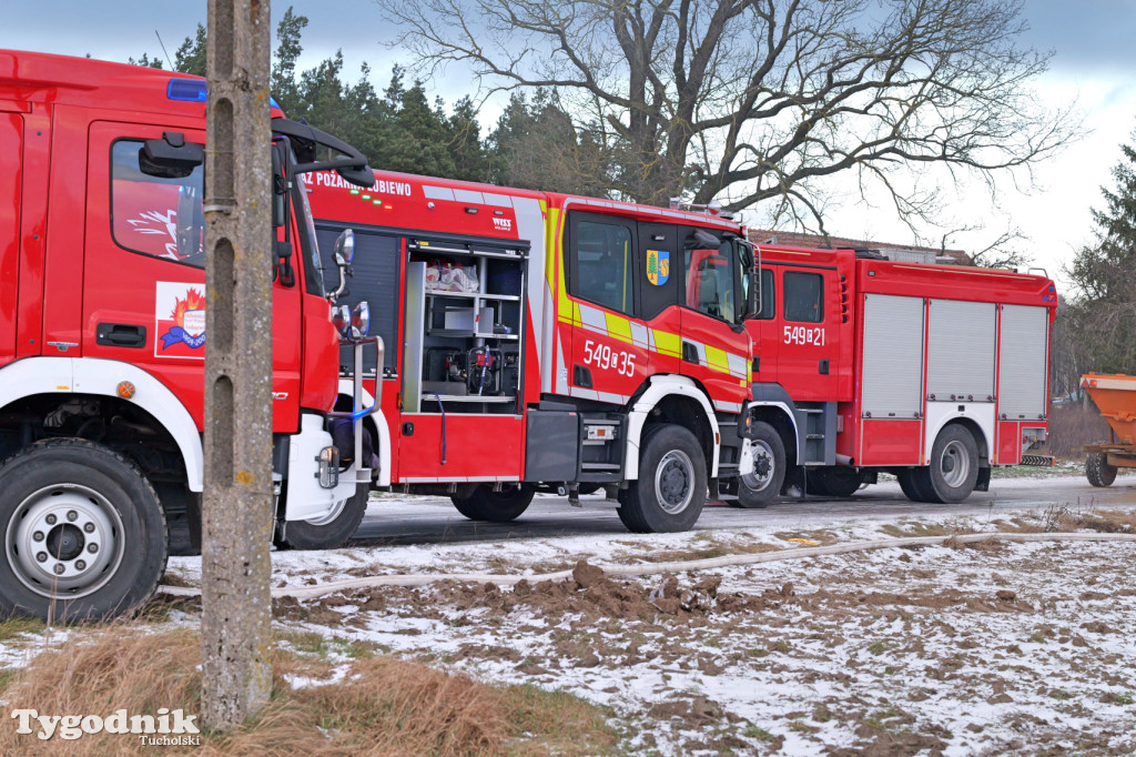 Pożar domu we wsi Lubiewice - 3 stycznia