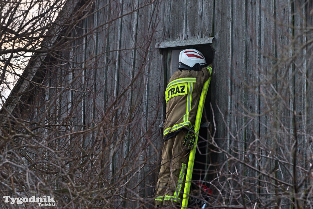 Pożar domu we wsi Lubiewice - 3 stycznia