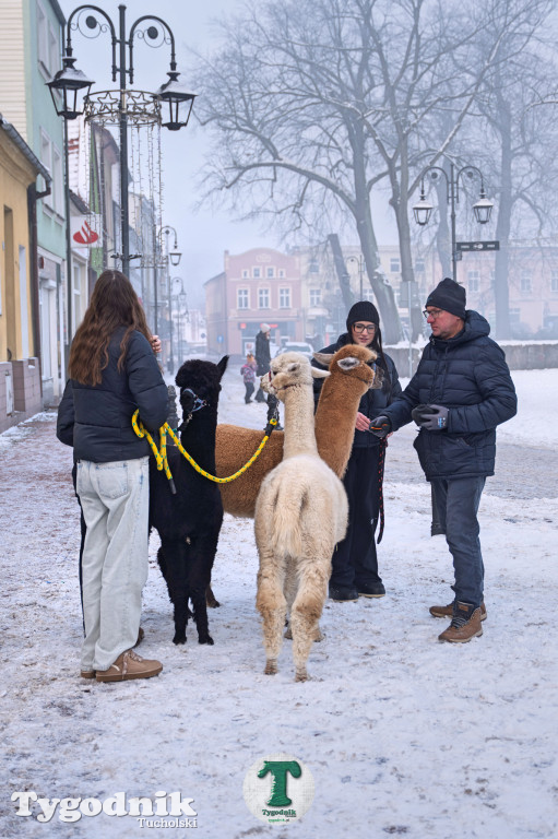 Orszak Trzech Króli 2026 w Tucholi