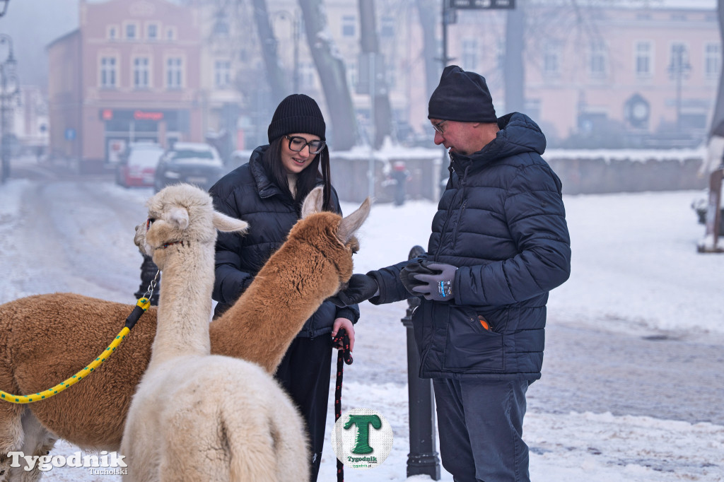 Orszak Trzech Króli 2026 w Tucholi
