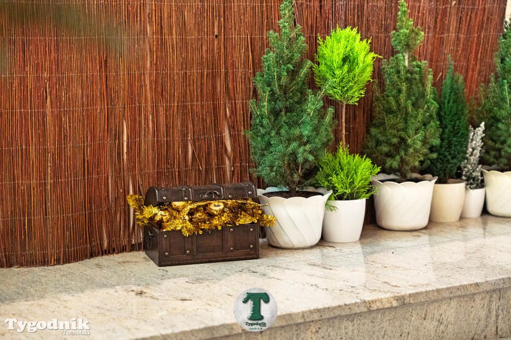 Orszak Trzech Króli 2026 w Tucholi