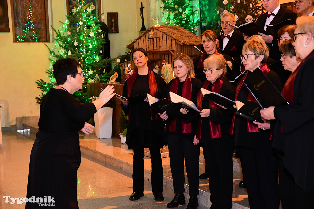 Camerata w świątecznym wydaniu 2026