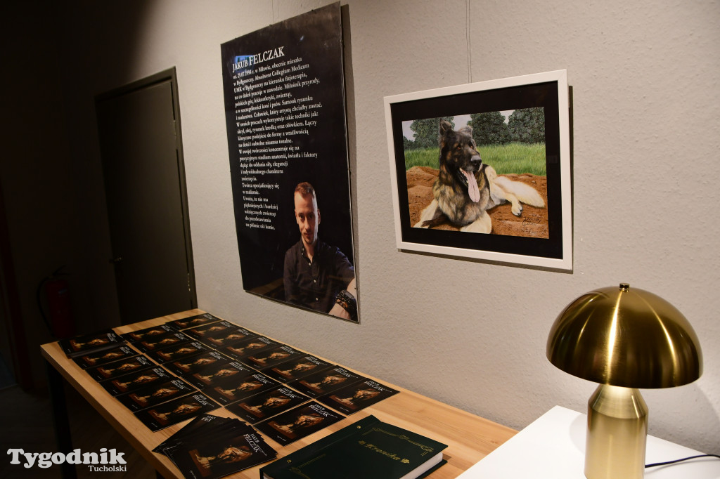 Wystawa prac Jakuba Felczaka. Zobacz je w TOK-u!