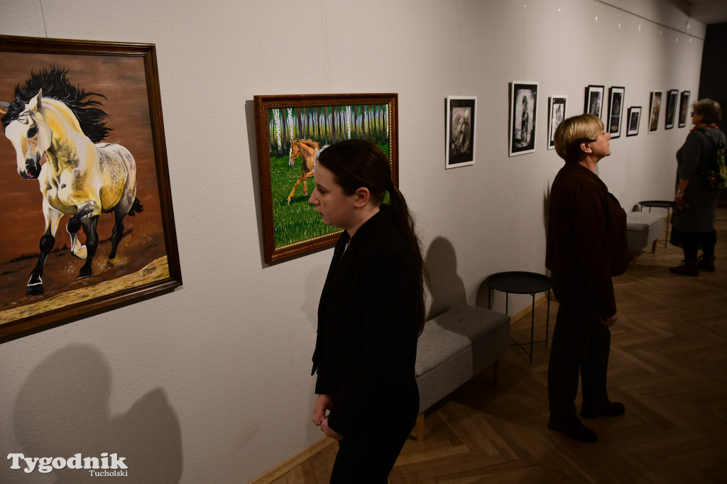 Wystawa prac Jakuba Felczaka. Zobacz je w TOK-u!