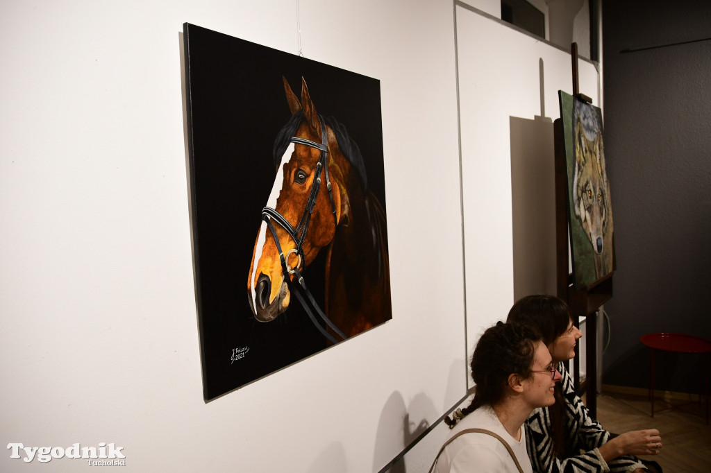 Wystawa prac Jakuba Felczaka. Zobacz je w TOK-u!