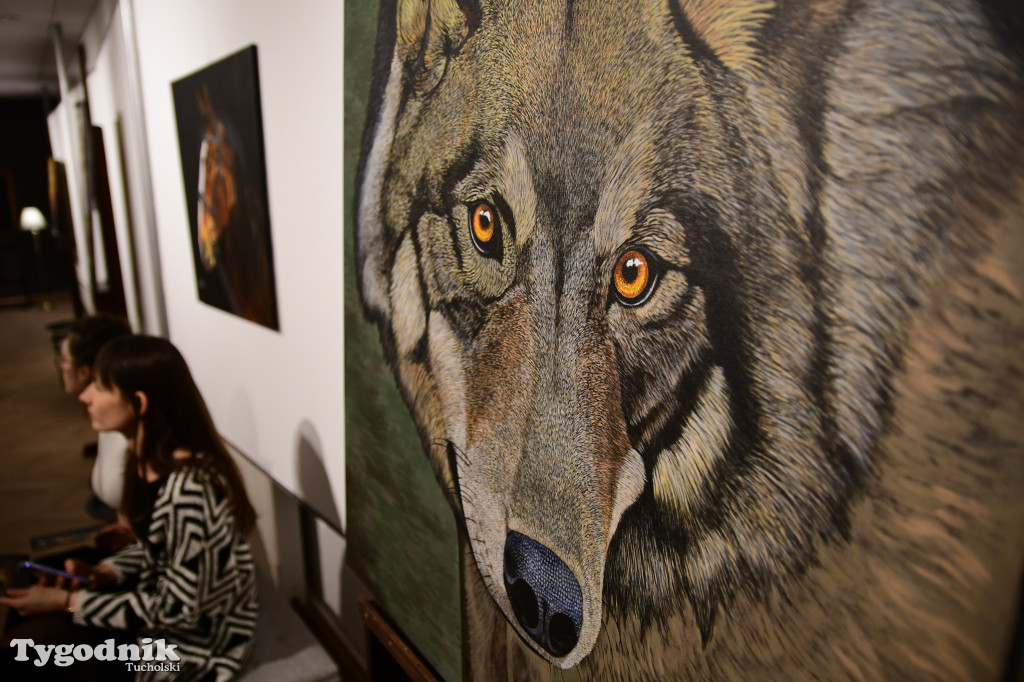 Wystawa prac Jakuba Felczaka. Zobacz je w TOK-u!