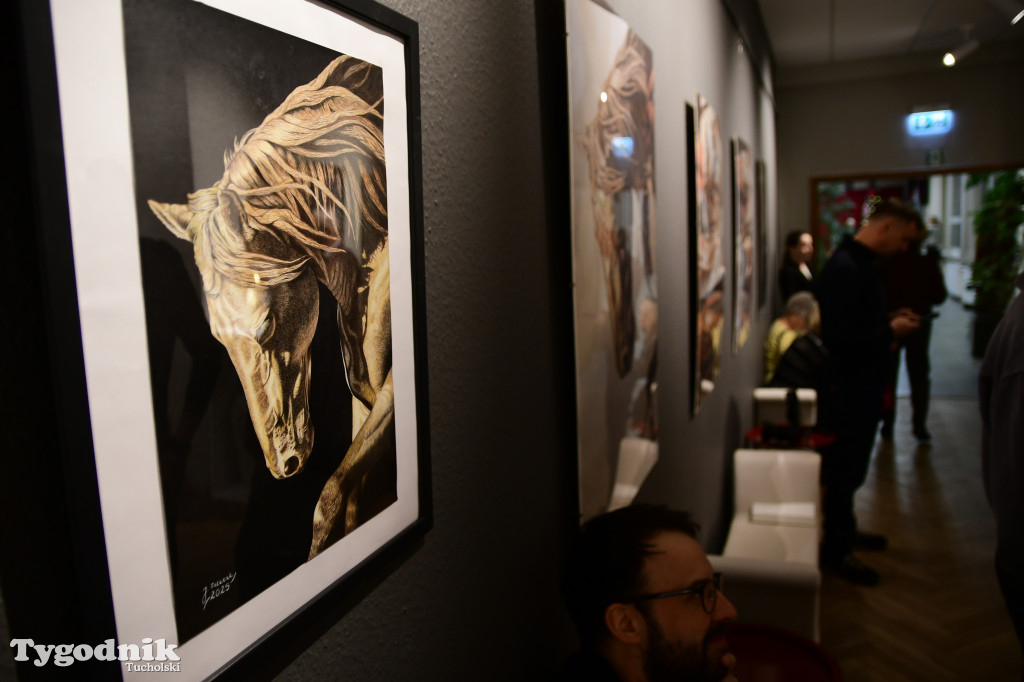 Wystawa prac Jakuba Felczaka. Zobacz je w TOK-u!