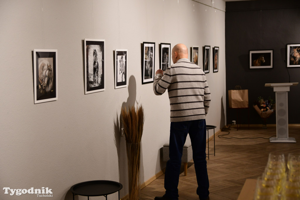 Wystawa prac Jakuba Felczaka. Zobacz je w TOK-u!