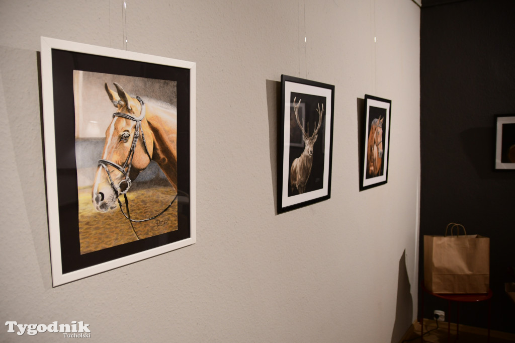 Wystawa prac Jakuba Felczaka. Zobacz je w TOK-u!