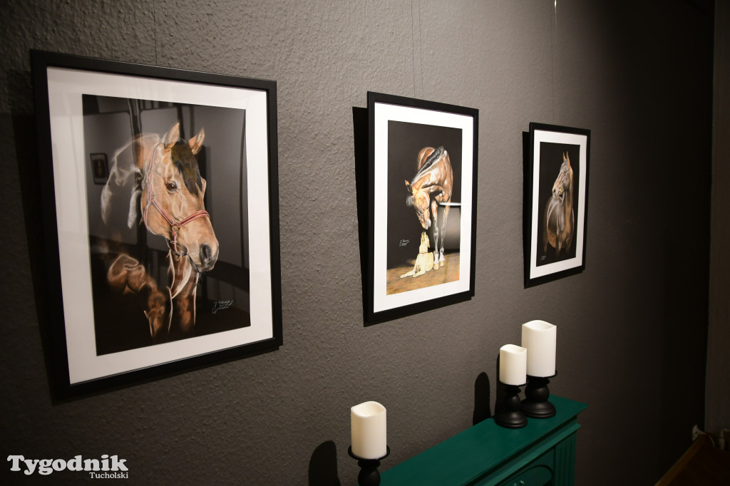 Wystawa prac Jakuba Felczaka. Zobacz je w TOK-u!