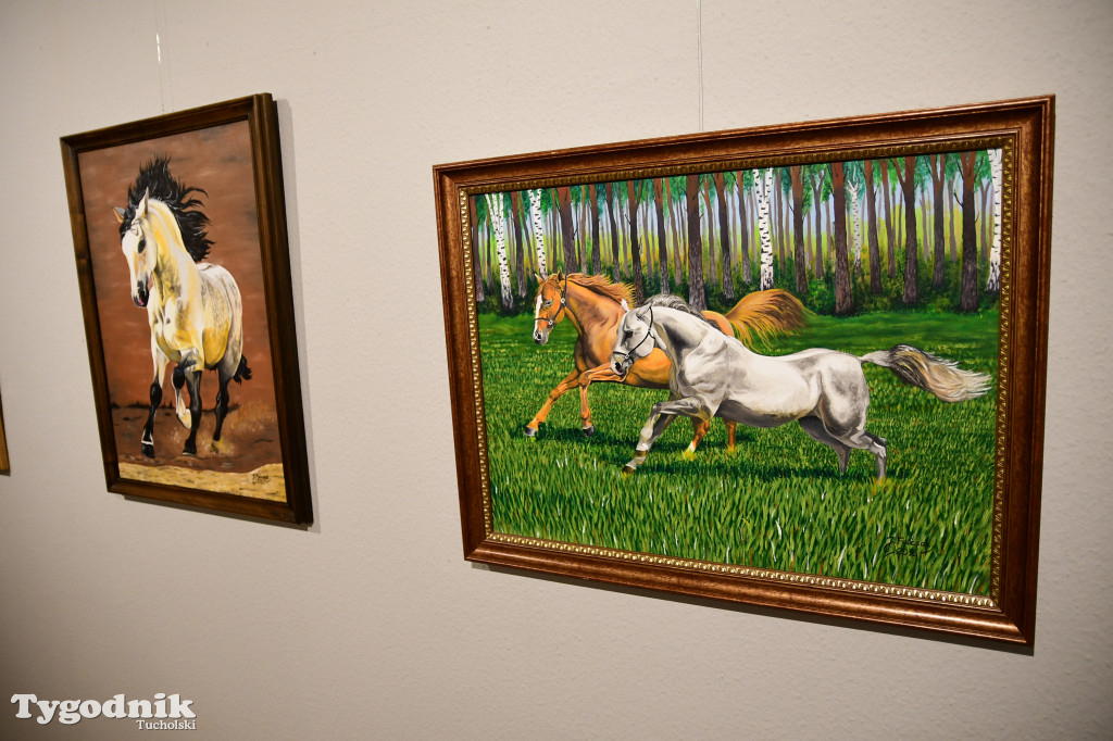 Wystawa prac Jakuba Felczaka. Zobacz je w TOK-u!