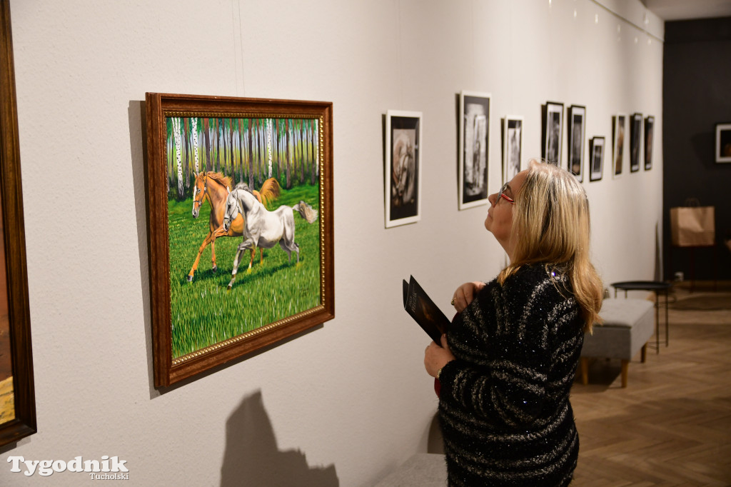 Wystawa prac Jakuba Felczaka. Zobacz je w TOK-u!