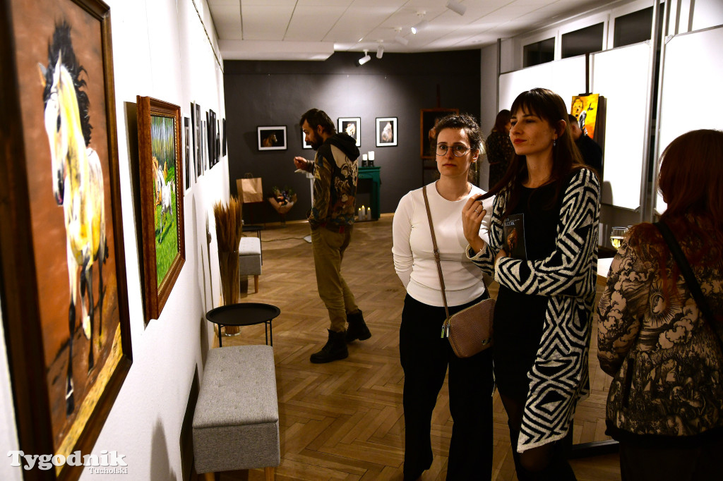 Wystawa prac Jakuba Felczaka. Zobacz je w TOK-u!