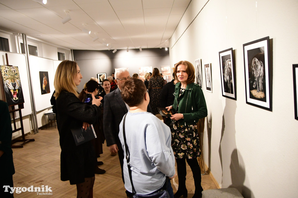 Wystawa prac Jakuba Felczaka. Zobacz je w TOK-u!