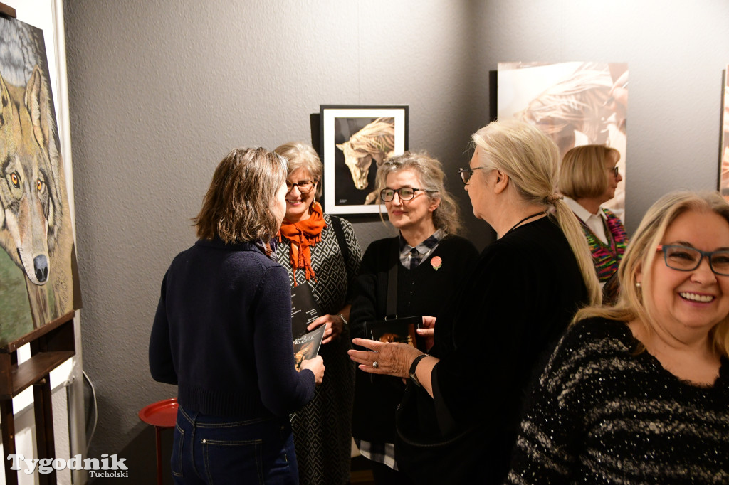 Wystawa prac Jakuba Felczaka. Zobacz je w TOK-u!