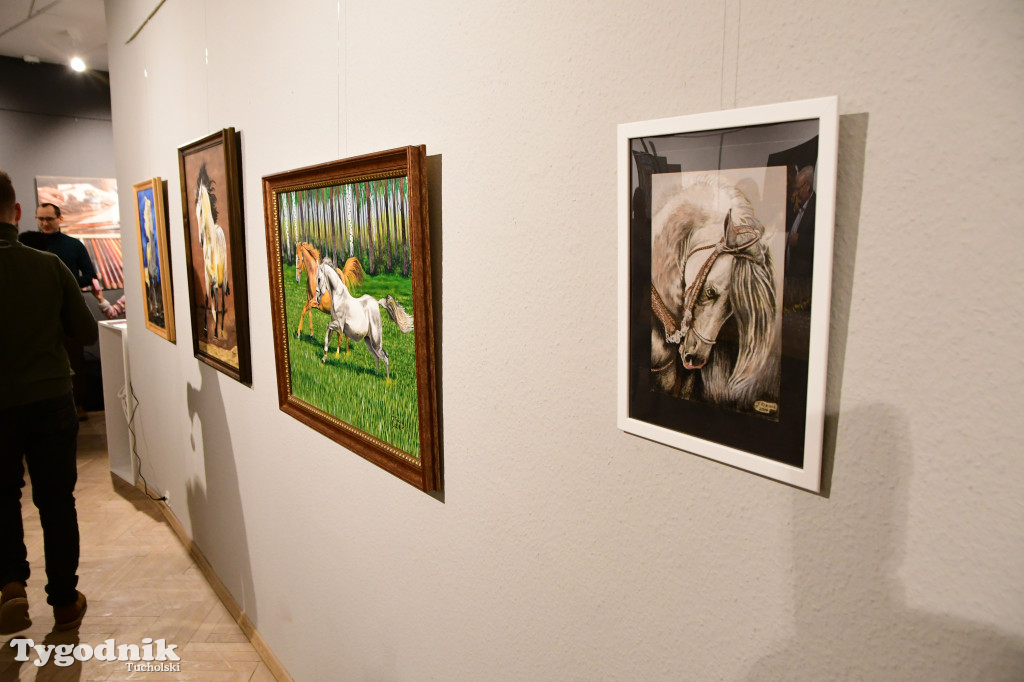 Wystawa prac Jakuba Felczaka. Zobacz je w TOK-u!