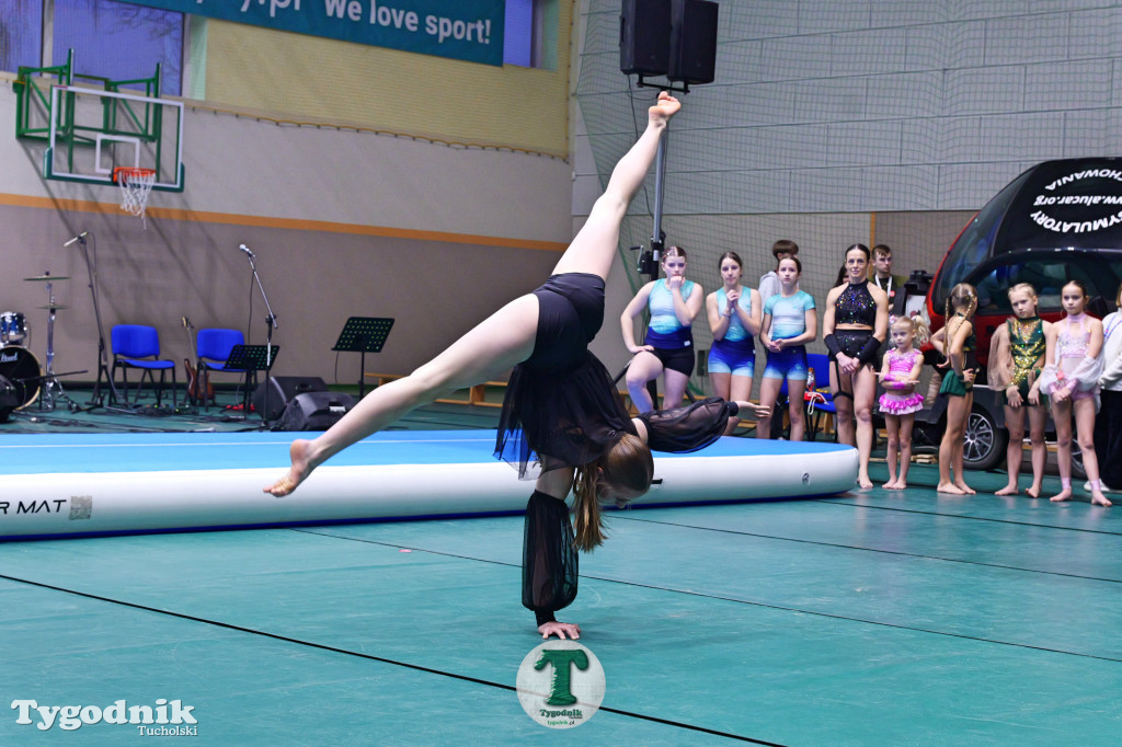 Finał WOŚP w Tucholi. Wolontariusze na ulicach, impreza w OSiR-ze