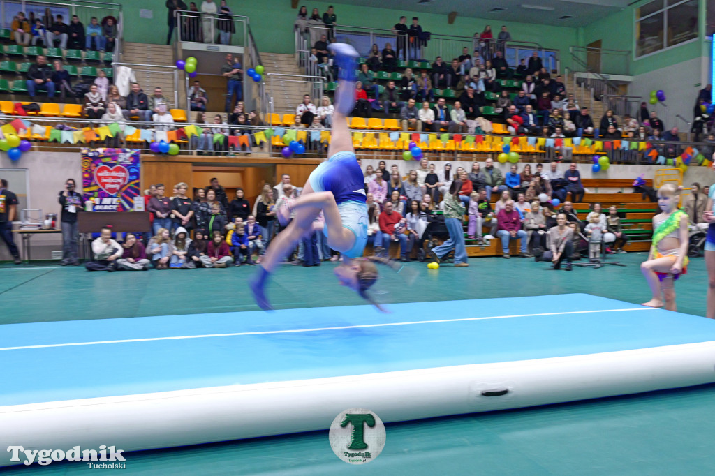 Finał WOŚP w Tucholi. Wolontariusze na ulicach, impreza w OSiR-ze