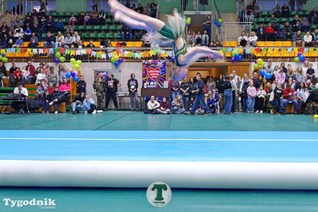 Finał WOŚP w Tucholi. Wolontariusze na ulicach, impreza w OSiR-ze