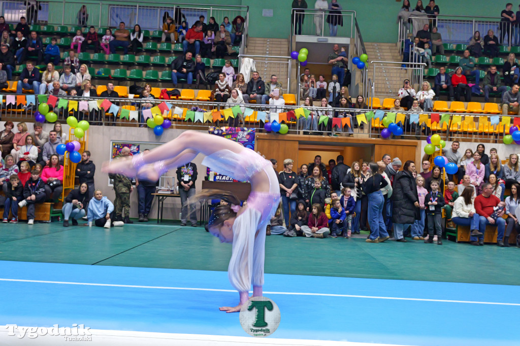 Finał WOŚP w Tucholi. Wolontariusze na ulicach, impreza w OSiR-ze