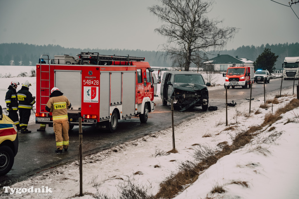 Aż 9 osób poszkodowanych po wypadku dwóch busów w Śliwicach