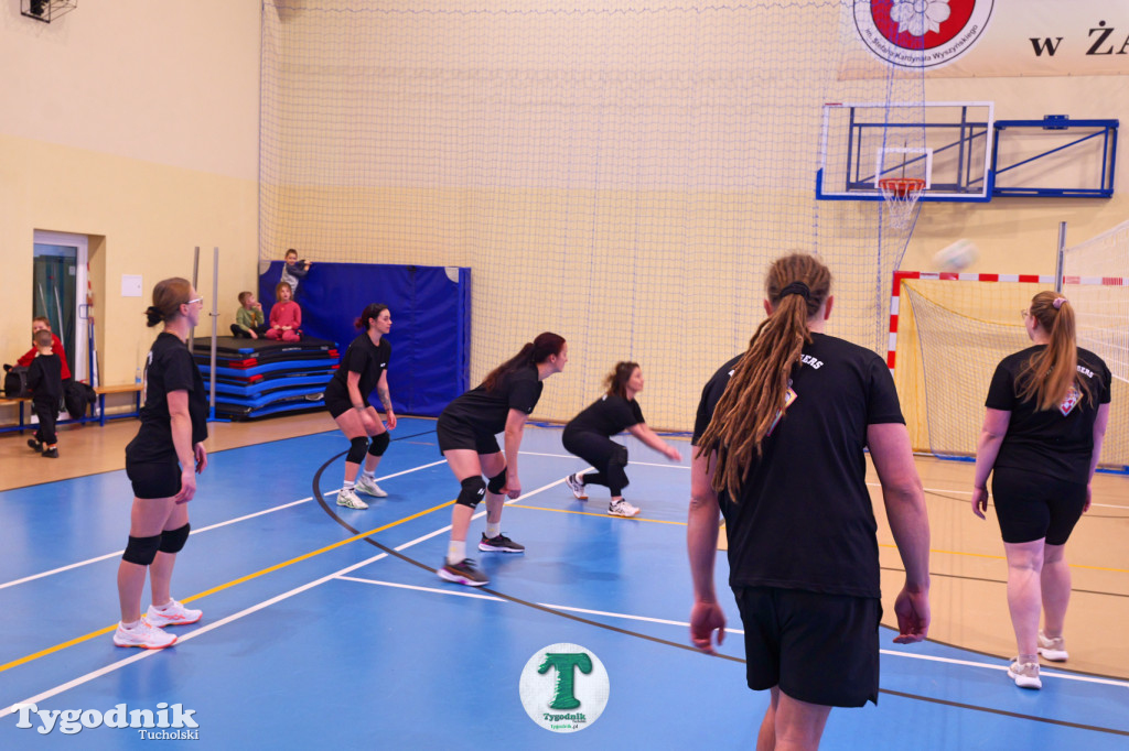Siatkówka w SP Żalno na WOŚP
