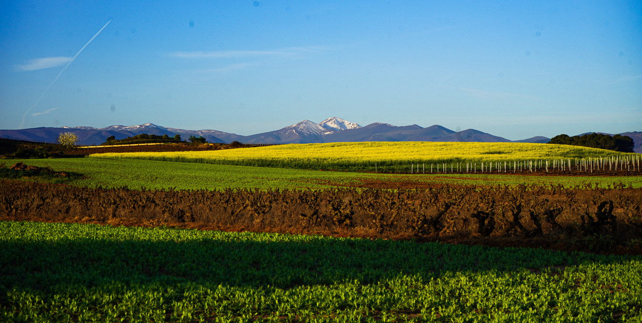 Bartosz Pruss - Camina de Santiago to oczyszczenie duszy