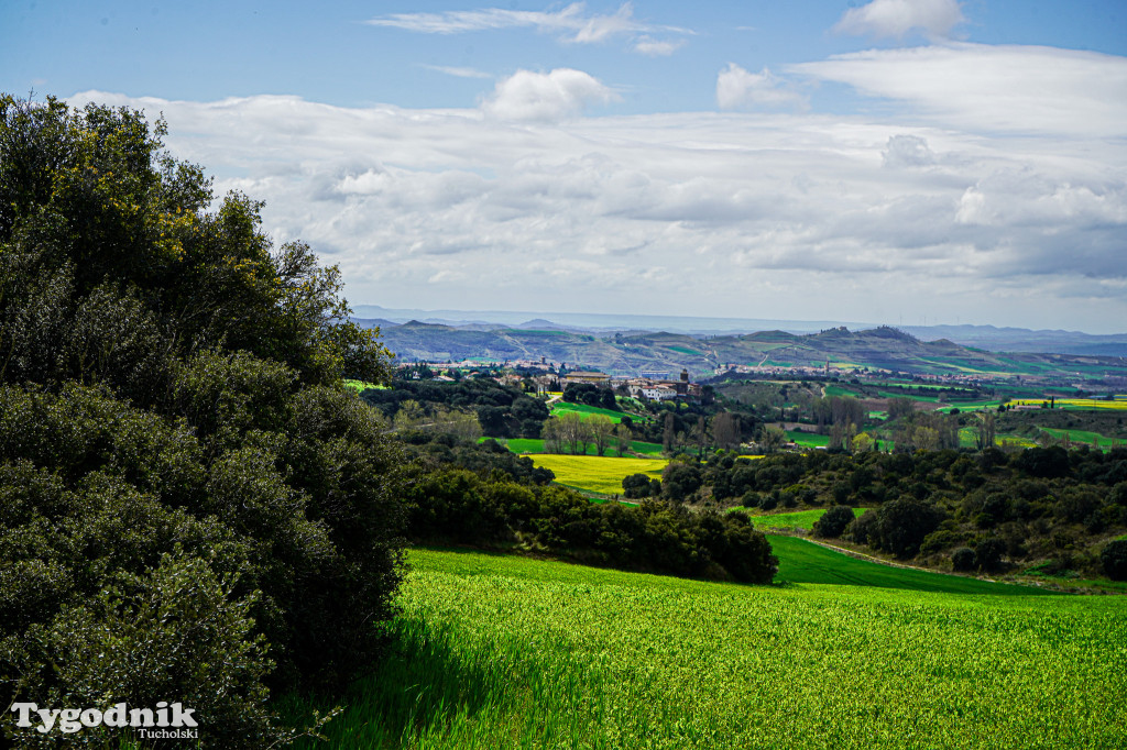 Bartosz Pruss - Camina de Santiago to oczyszczenie duszy
