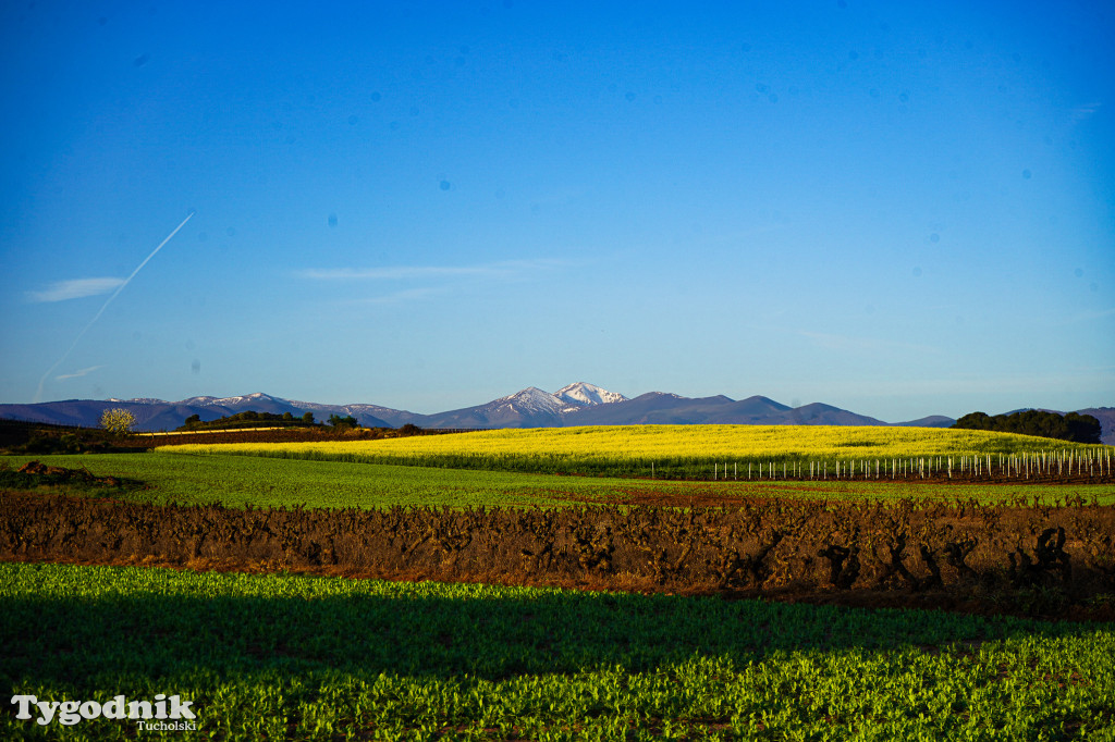 Bartosz Pruss - Camina de Santiago to oczyszczenie duszy