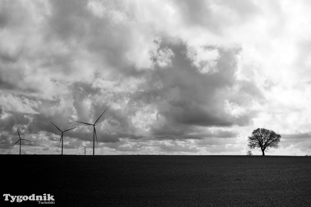 Bartosz Pruss - Camina de Santiago to oczyszczenie duszy