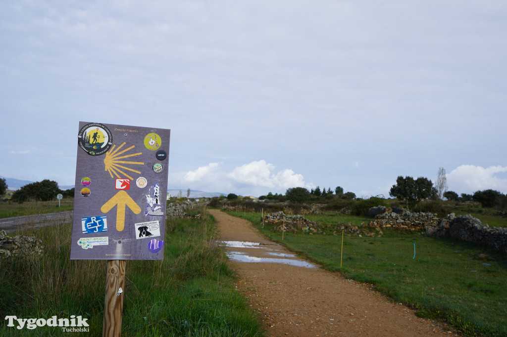 Bartosz Pruss - Camina de Santiago to oczyszczenie duszy