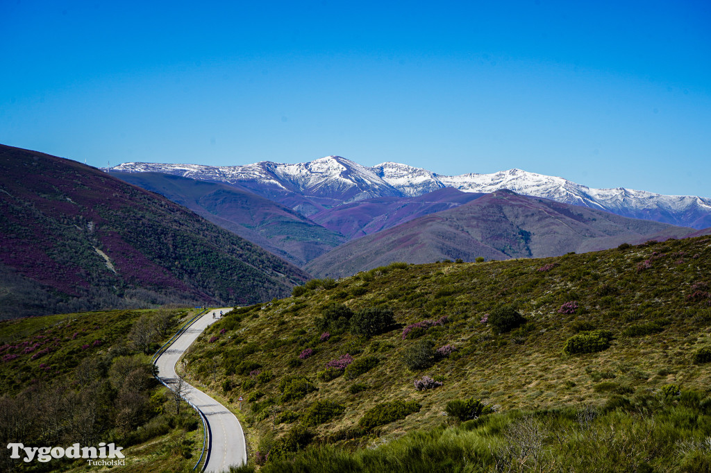 Bartosz Pruss - Camina de Santiago to oczyszczenie duszy
