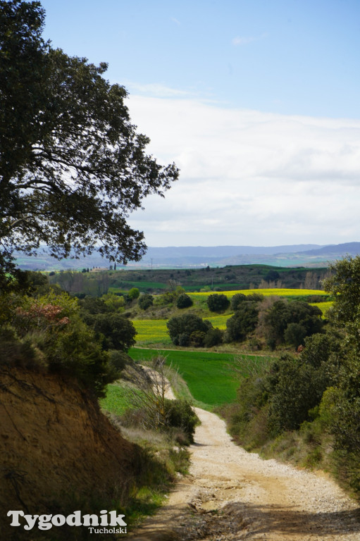 Bartosz Pruss - Camina de Santiago to oczyszczenie duszy