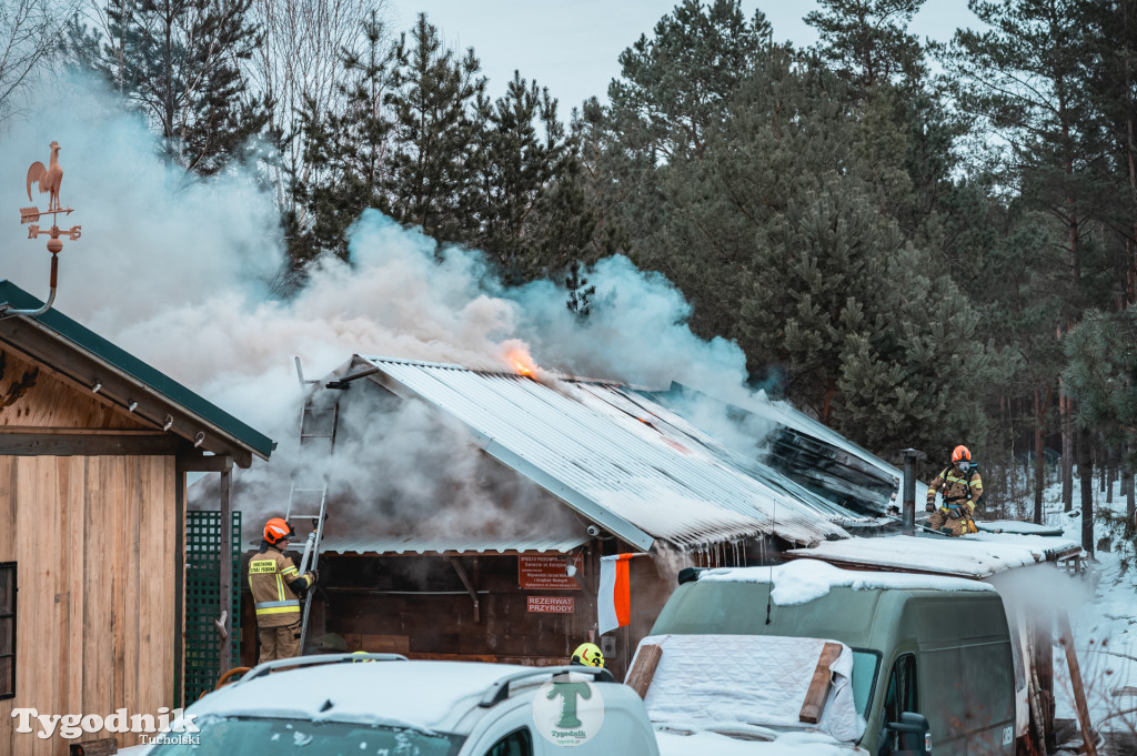 Pożar w gminie Cekcyn! Strażacy ruszyli do akcji w sobotę rano