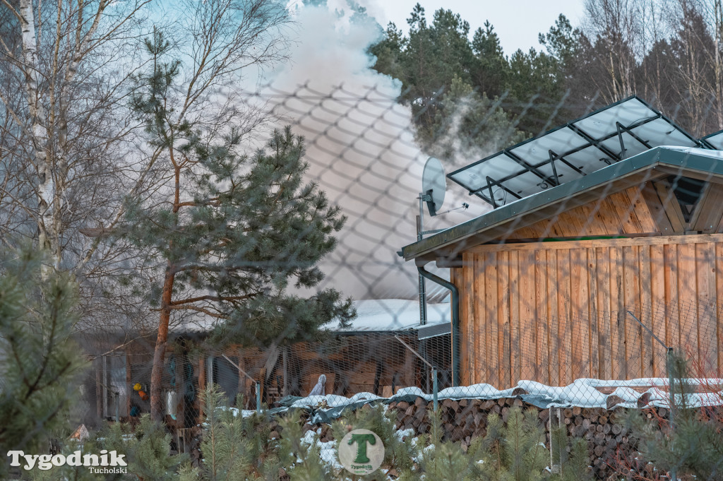 Pożar w gminie Cekcyn! Strażacy ruszyli do akcji w sobotę rano