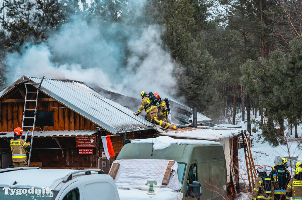 Pożar w gminie Cekcyn! Strażacy ruszyli do akcji w sobotę rano