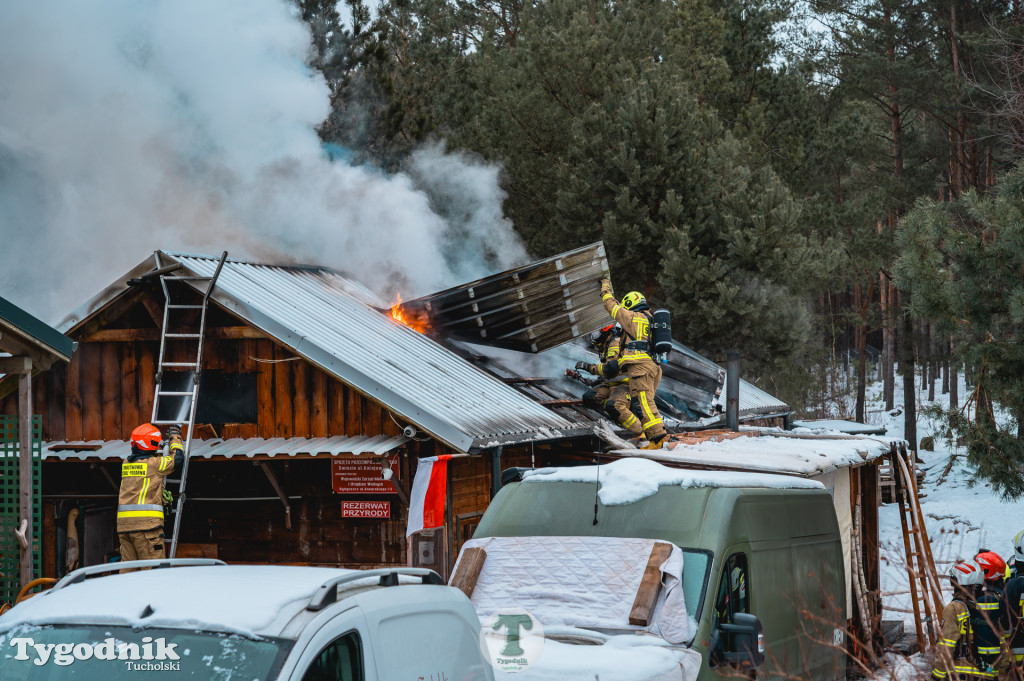 Pożar w gminie Cekcyn! Strażacy ruszyli do akcji w sobotę rano